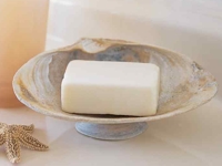 Martha Stewart Seashell Soap Dish
